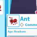 Adopt Me